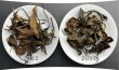 画像3: 白茶・寿眉・2017・2022 (3)