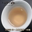 画像2: 青茶・2023年鳳凰単叢宋種&鳥岽山 (2)