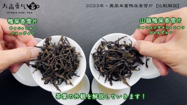 画像1: 青茶・2023年鳳凰単叢・雪片(冬茶) (1)