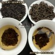 画像4: 黒茶・安化黒茶 (4)