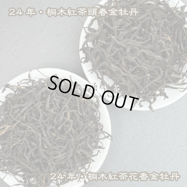 画像1: 紅茶・24年桐木紅茶金牡丹 (1)