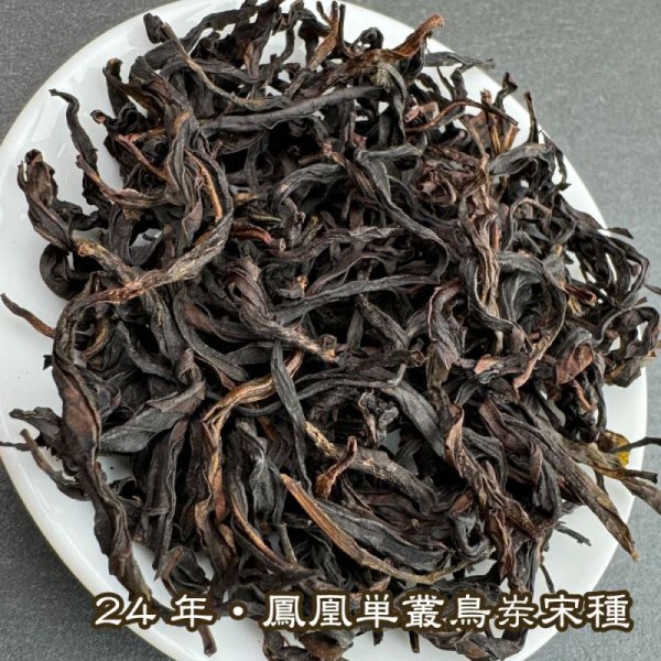 画像2: 青茶・24年鳳凰単叢・宋種 (2)