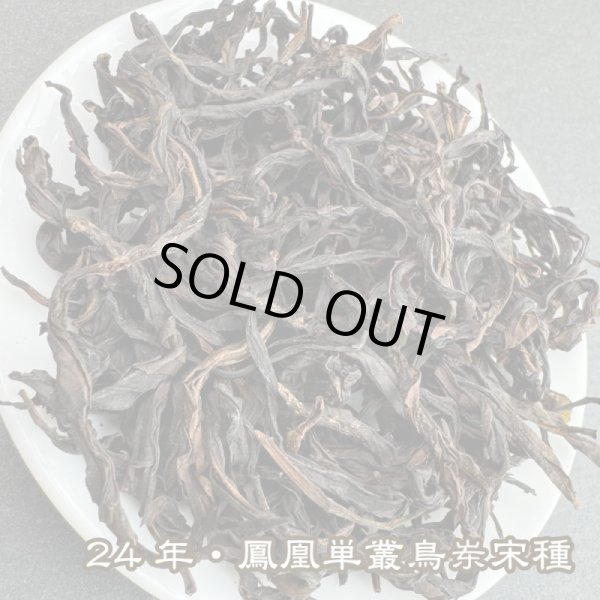 画像2: 青茶・24年鳳凰単叢・宋種 (2)