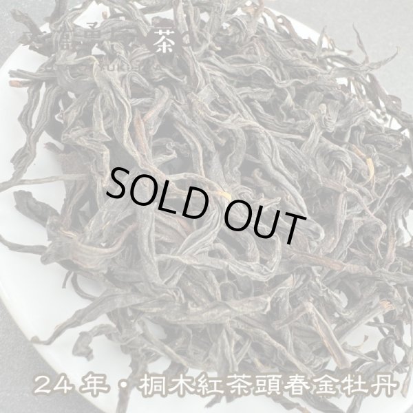 画像2: 紅茶・24年桐木紅茶金牡丹 (2)