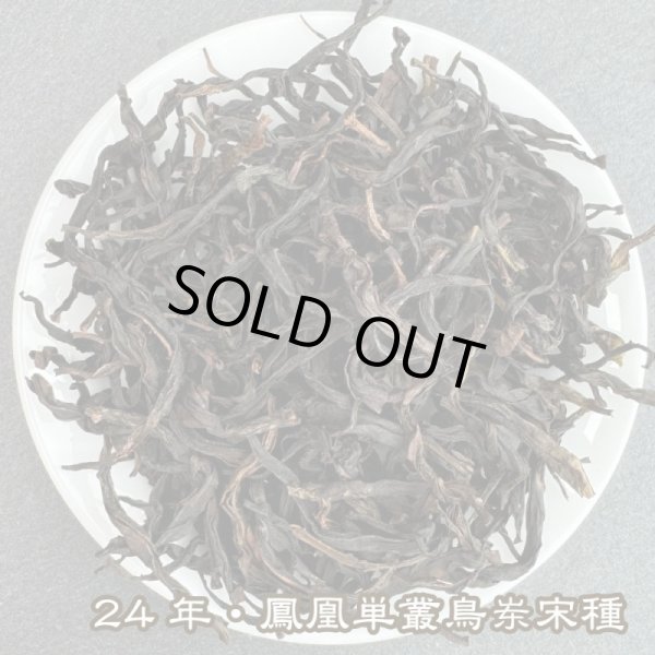 画像1: 青茶・24年鳳凰単叢・宋種 (1)
