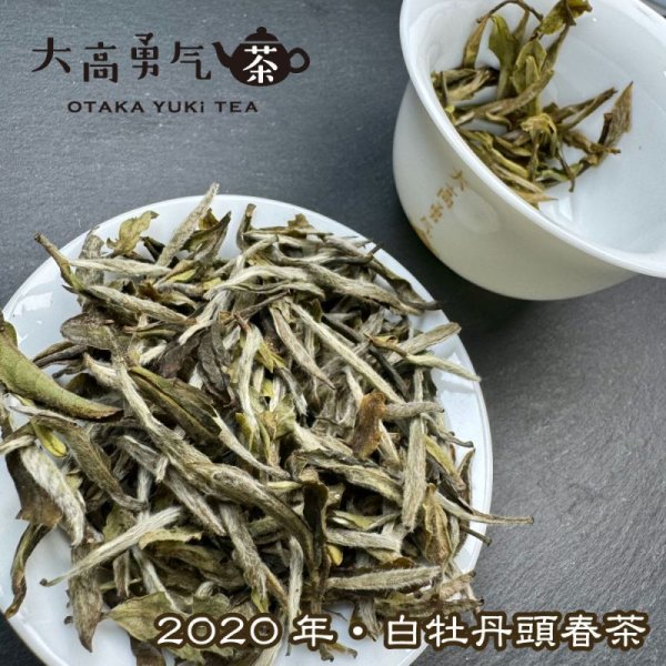 画像4: 白茶・20年白牡丹 (4)