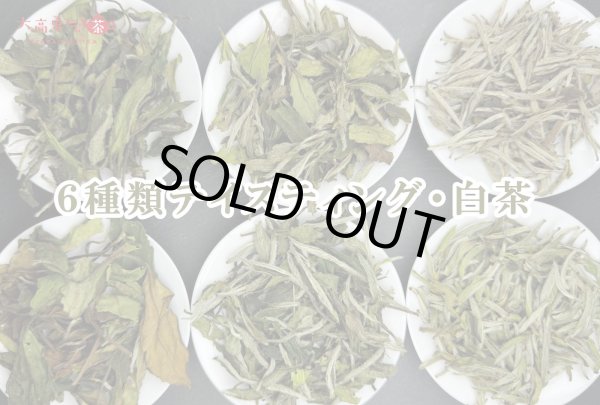 画像4: 2024年11月24日・6種テイスティング会 (4)