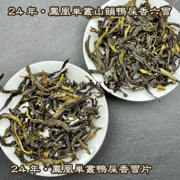 画像4: 青茶・24年鳳凰単叢・雪片(冬茶) (4)