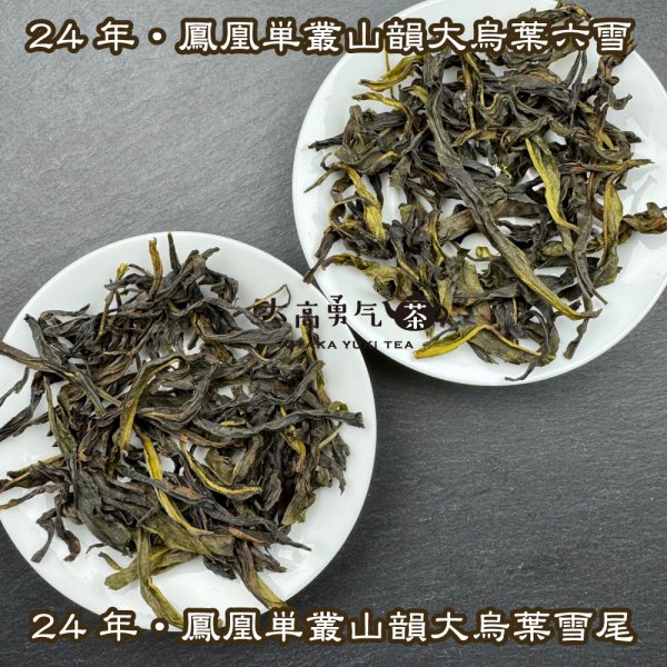 画像1: 青茶・24年鳳凰単叢・雪片(冬茶) (1)