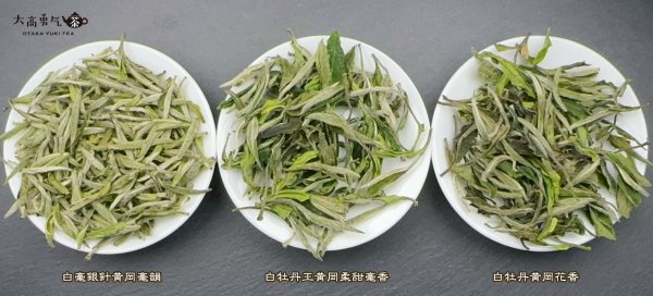 画像1: 白茶・25年銀針・牡丹 (1)