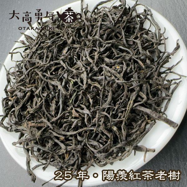 画像3: 紅茶・25年陽羨紅茶 (3)