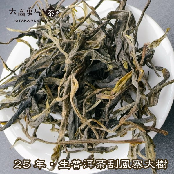 画像2: 生プーアル・25年刮風寨大樹 (2)