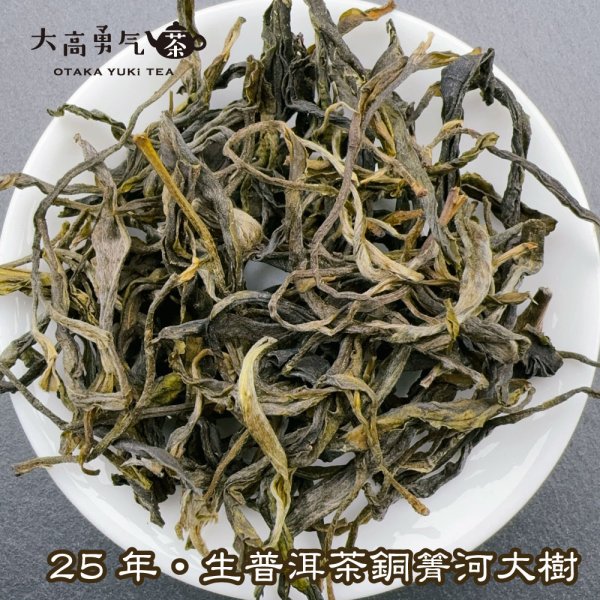 画像1: 生プーアル・25年銅箐河大樹 (1)