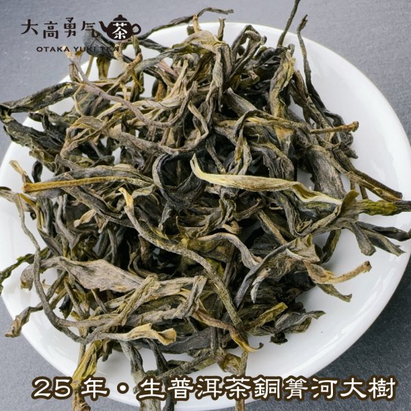 画像2: 生プーアル・25年銅箐河大樹 (2)