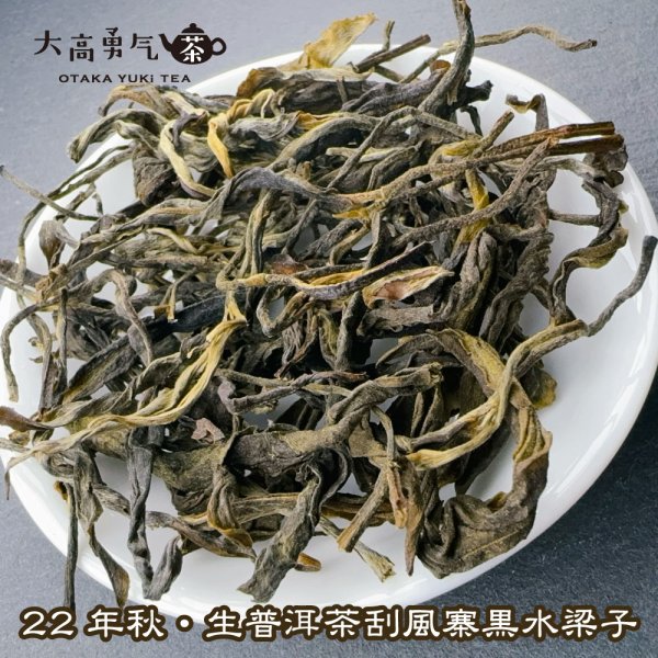 画像2: 生プーアル・22年秋刮風寨黒水梁子大樹 (2)