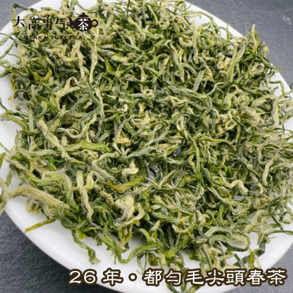 画像2: 緑茶・26年都匀毛尖 (2)