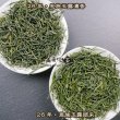画像1: 緑茶・26年恩施玉露 (1)