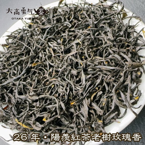 画像5: 紅茶・26年陽羨紅茶 (5)