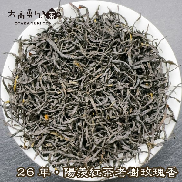 画像4: 紅茶・26年陽羨紅茶 (4)