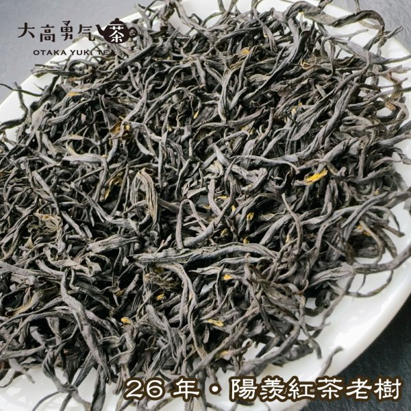 画像3: 紅茶・26年陽羨紅茶 (3)