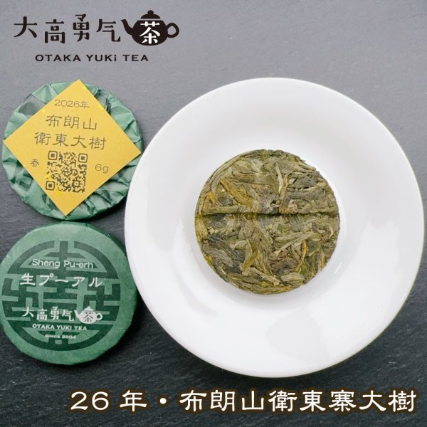 画像2: 26年布朗山衛東大樹・小茶餅 (2)