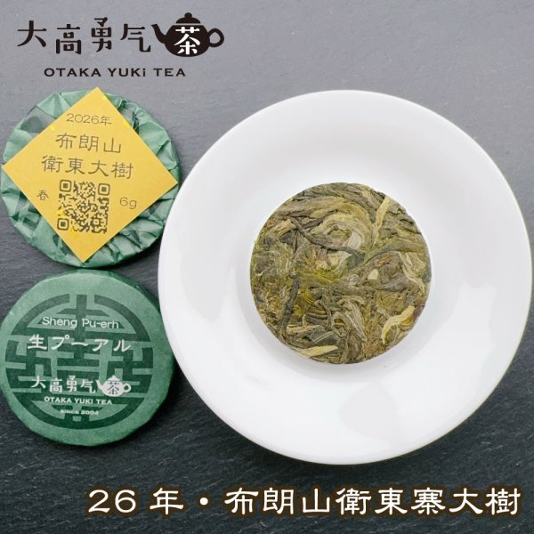 画像1: 26年布朗山衛東大樹・小茶餅 (1)