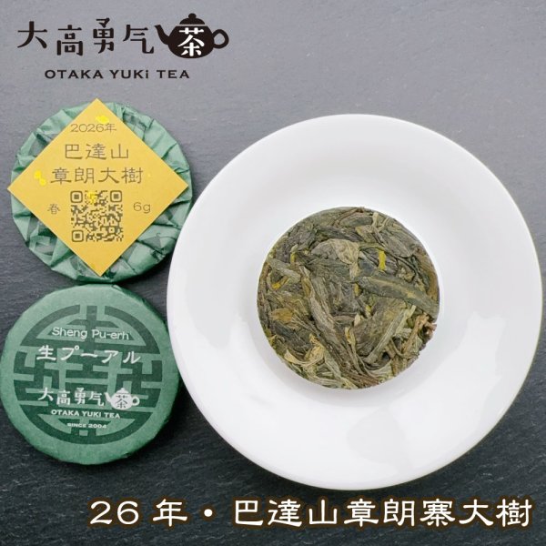 画像1: 26年巴達山章朗大樹・小茶餅 (1)