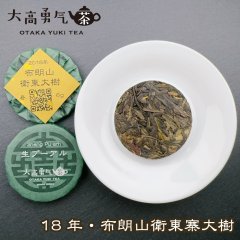 18年布朗山衛東大樹
