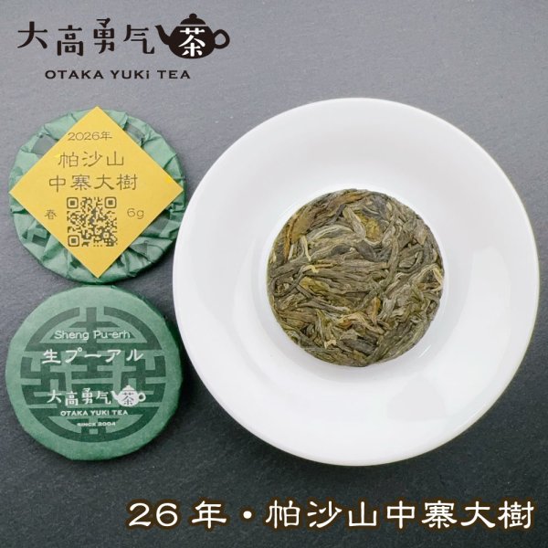 画像1: 26年帕沙山中寨大樹・小茶餅 (1)