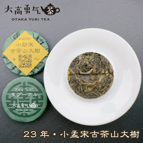 画像2: 23年小勐宋古茶山大樹・小茶餅 (2)