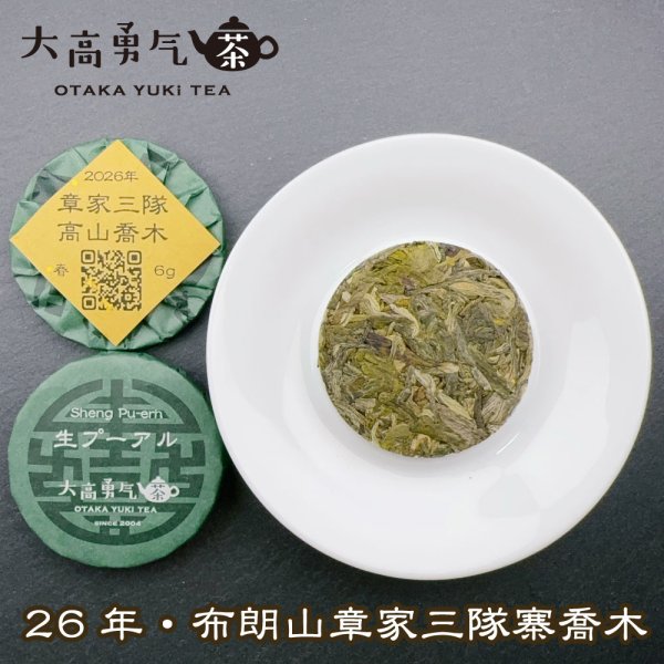 画像1: 26年章家三隊高山喬木・小茶餅 (1)