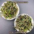 画像3: 白茶・26年白牡丹 (3)