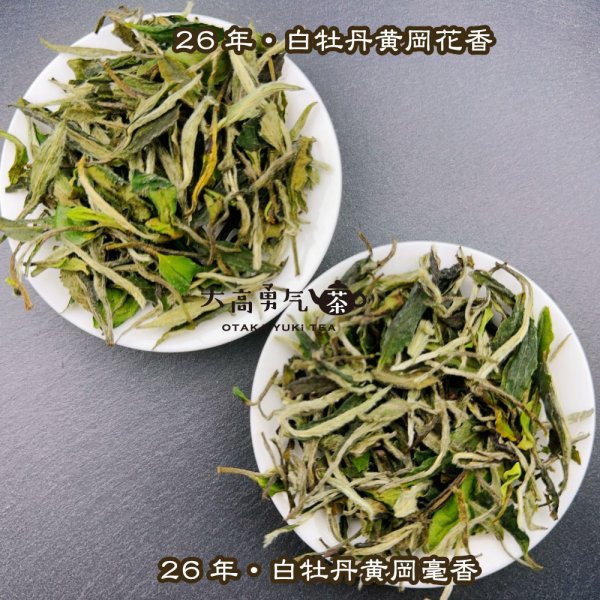 画像3: 白茶・26年白牡丹 (3)