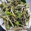 画像5: 白茶・26年白牡丹 (5)