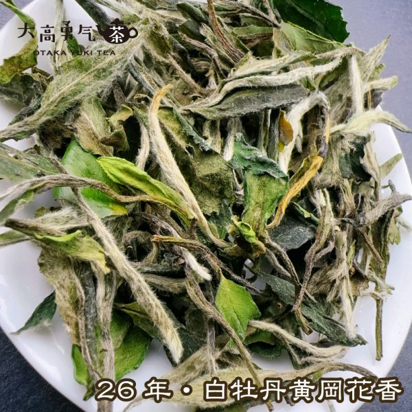 画像5: 白茶・26年白牡丹 (5)
