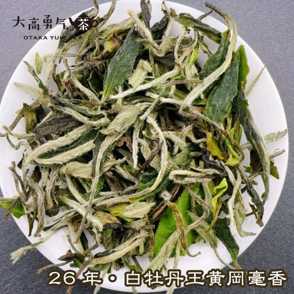 画像1: 白茶・26年白牡丹 (1)
