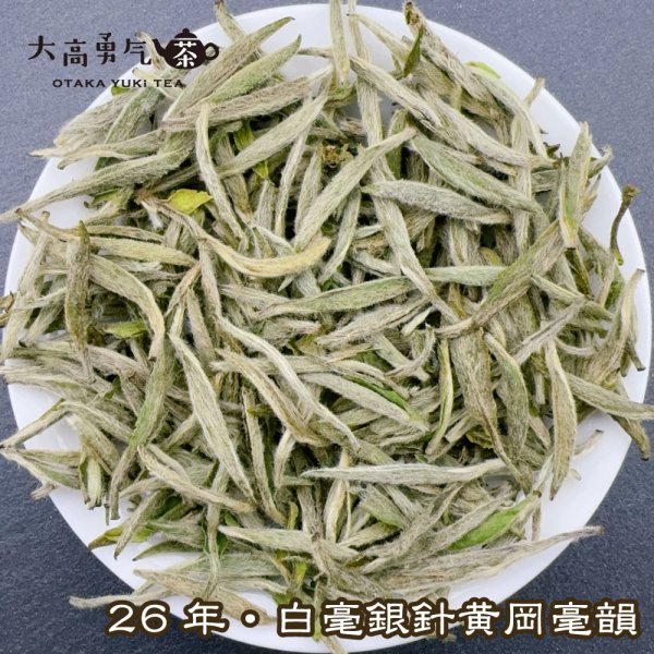 画像1: 白茶・26年白毫銀針 (1)