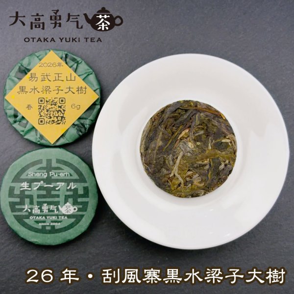 画像1: 26年易武刮風寨黑水梁子大树・小茶餅 (1)