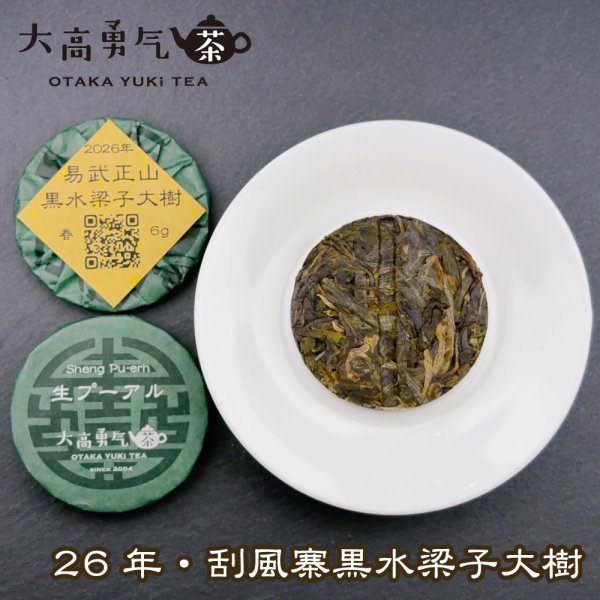 画像2: 26年易武刮風寨黑水梁子大树・小茶餅 (2)