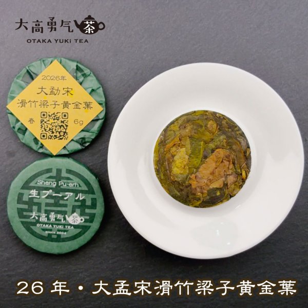 画像1: 26年大孟宋滑竹梁子古树黄金葉・小茶餅 (1)