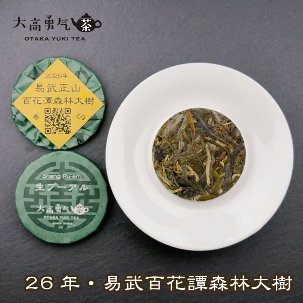 画像1: 26年易武百花潭森林大树・小茶餅 (1)