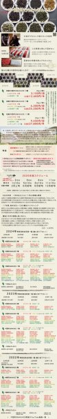 画像4: 中国茶OMAKASE【2026年分】 (4)