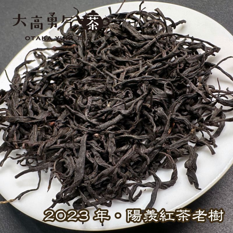 紅茶・2023年陽羨紅茶