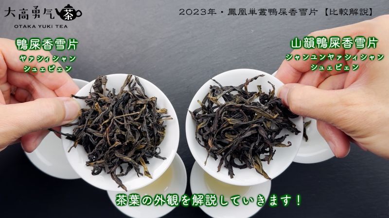 青茶・2023年鳳凰単叢・雪片(冬茶)