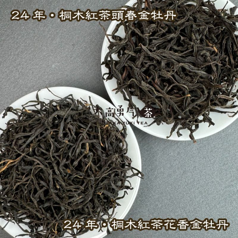紅茶・24年桐木紅茶金牡丹
