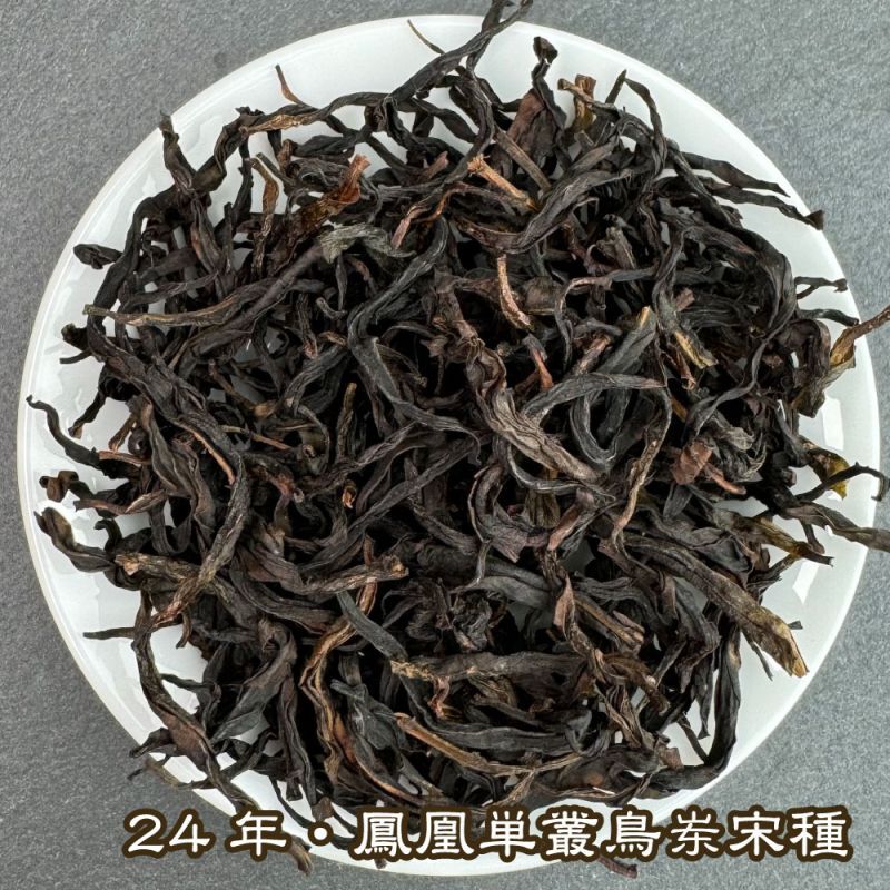 青茶・24年鳳凰単叢・宋種