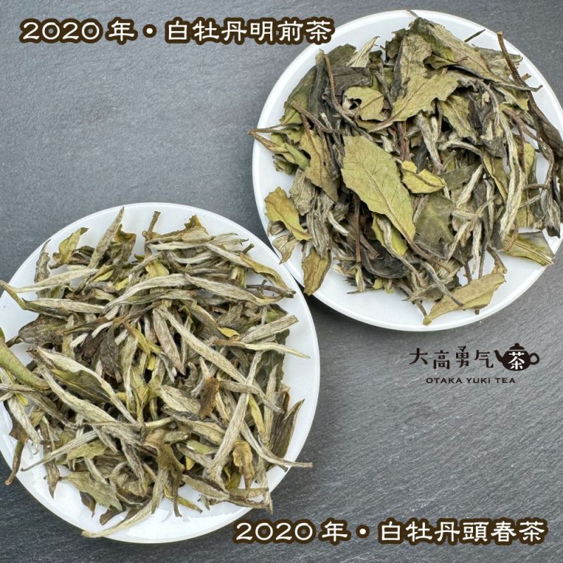白茶・20年白牡丹