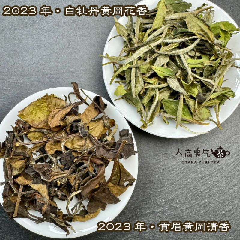 白茶・23年白牡丹・貢眉