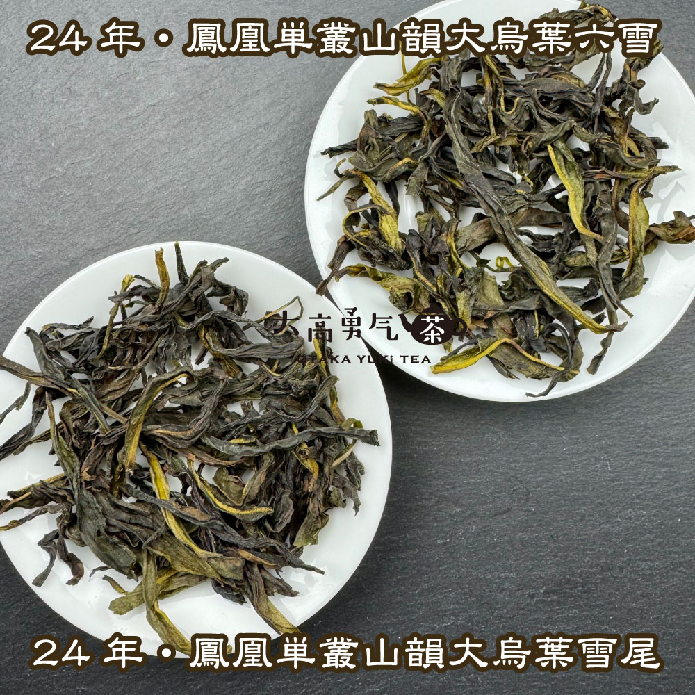 青茶・24年鳳凰単叢・雪片(冬茶)