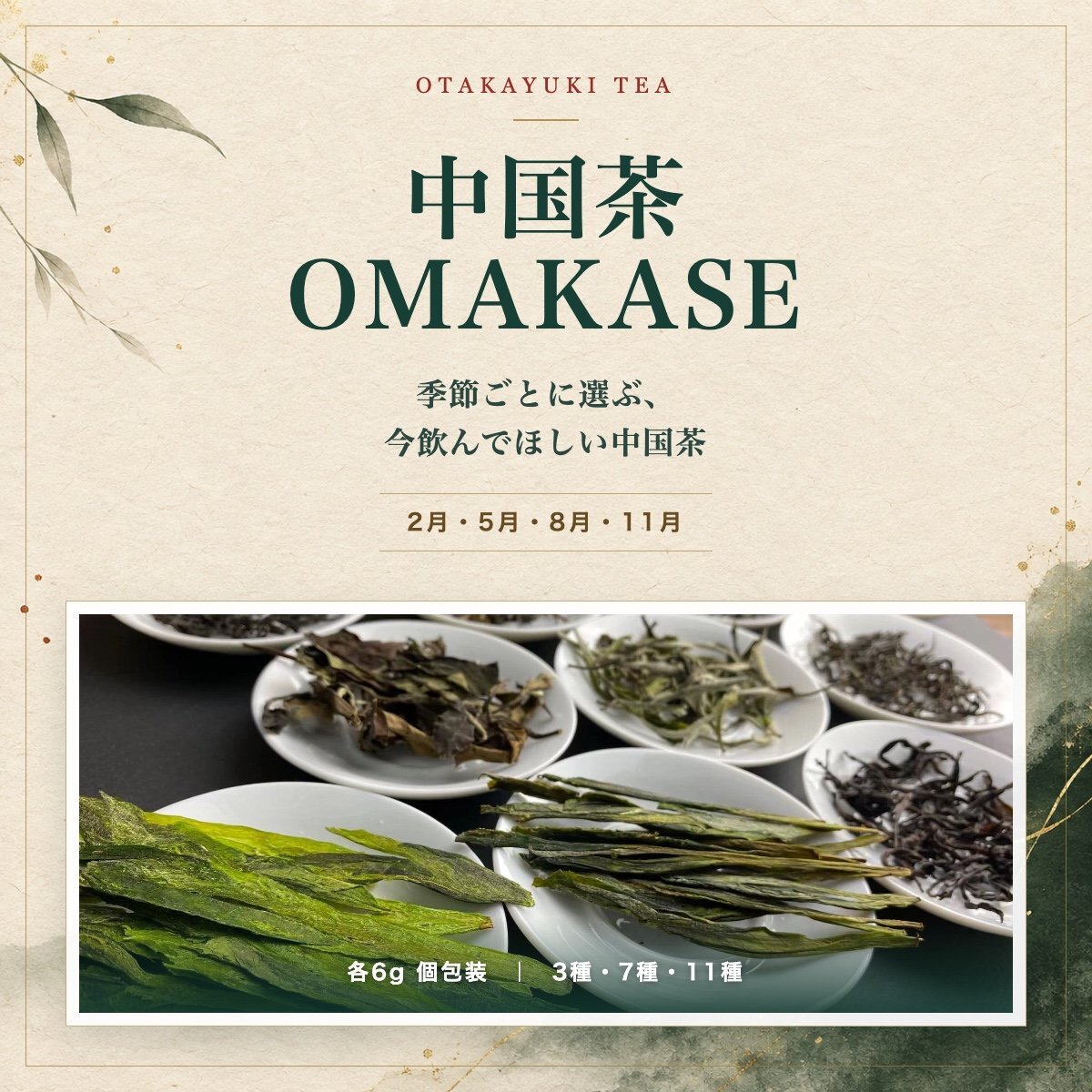 中国茶OMAKASE【2026年分】 - 大高中国茶専門店